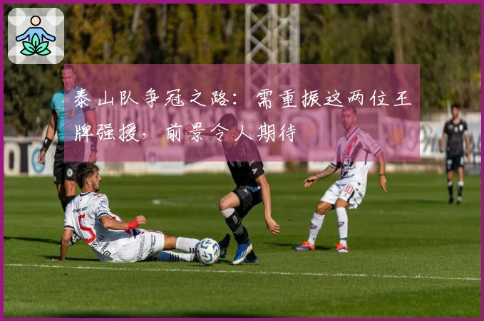 泰山队争冠之路：需重振这两位王牌强援，前景令人期待
