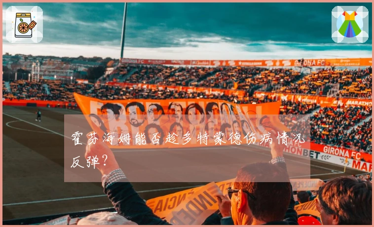 霍芬海姆能否趁多特蒙德伤病情况反弹？