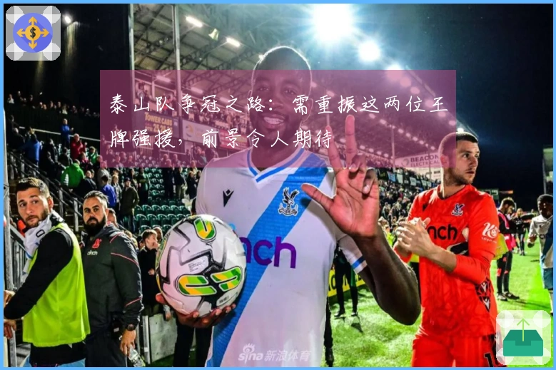 泰山队争冠之路：需重振这两位王牌强援，前景令人期待