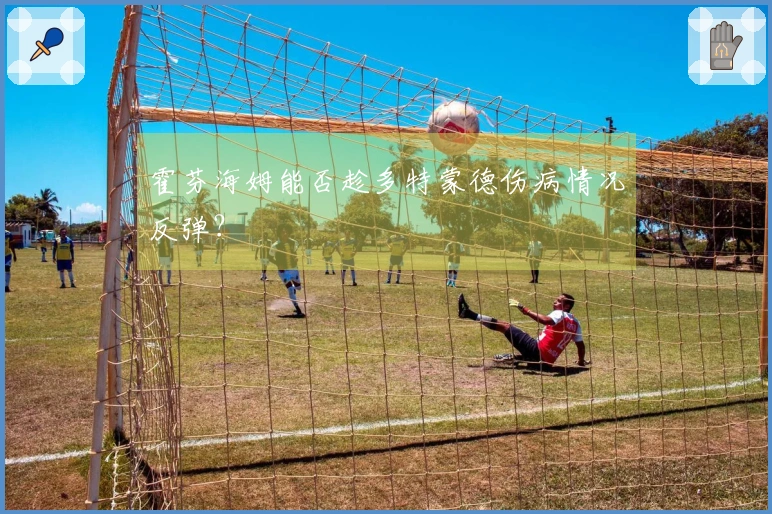 霍芬海姆能否趁多特蒙德伤病情况反弹？